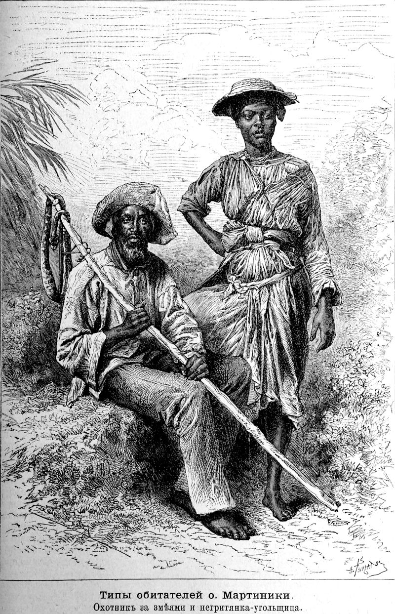 549 Типы обитателей Мартиники